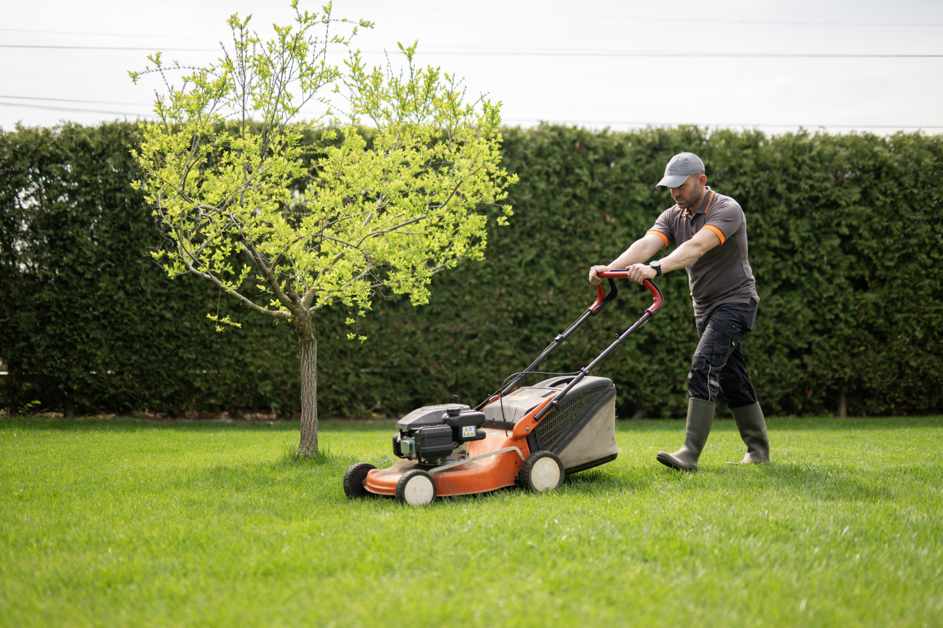 Person mowing lawn with orange lawnmower.