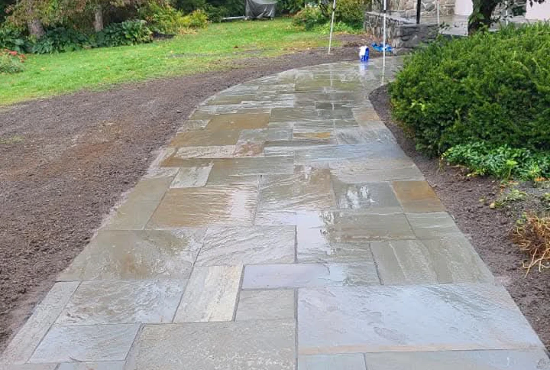 Wet stone pathway in a garden setting.